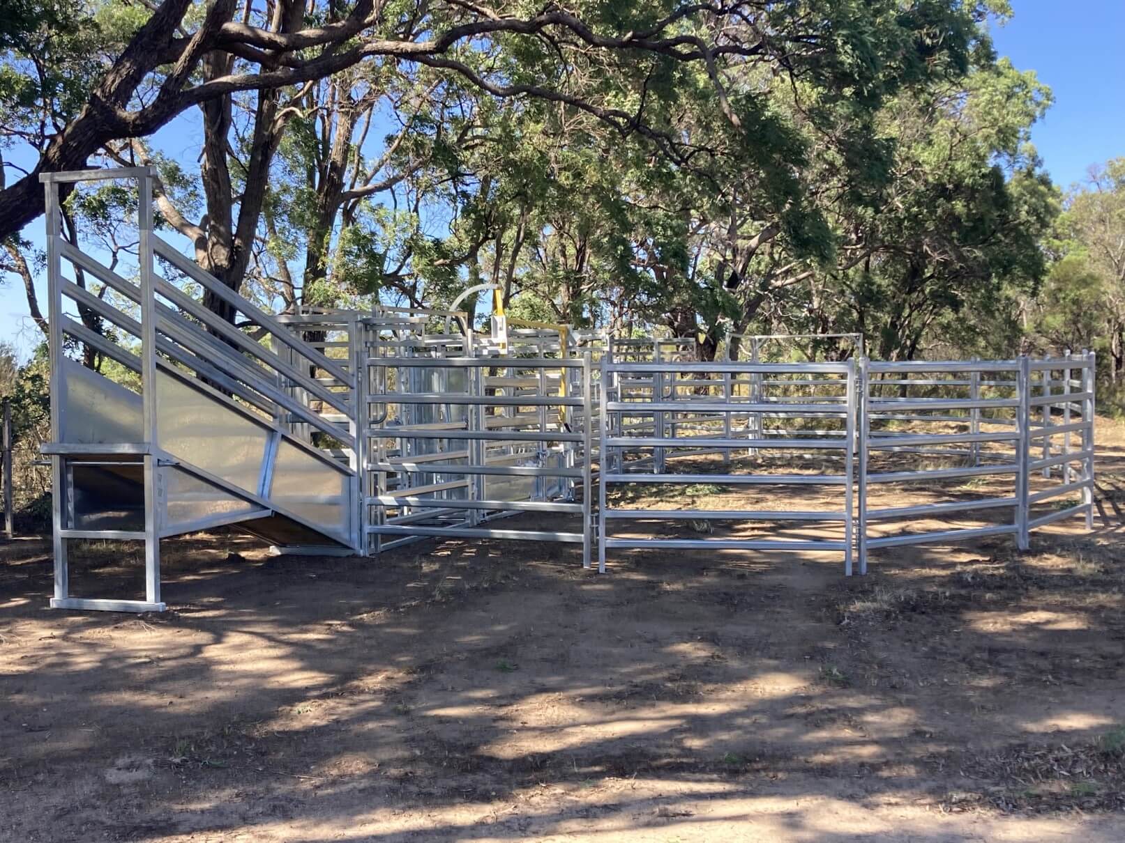 Photo of the head cattle yards