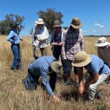 group in paddock exam weeds