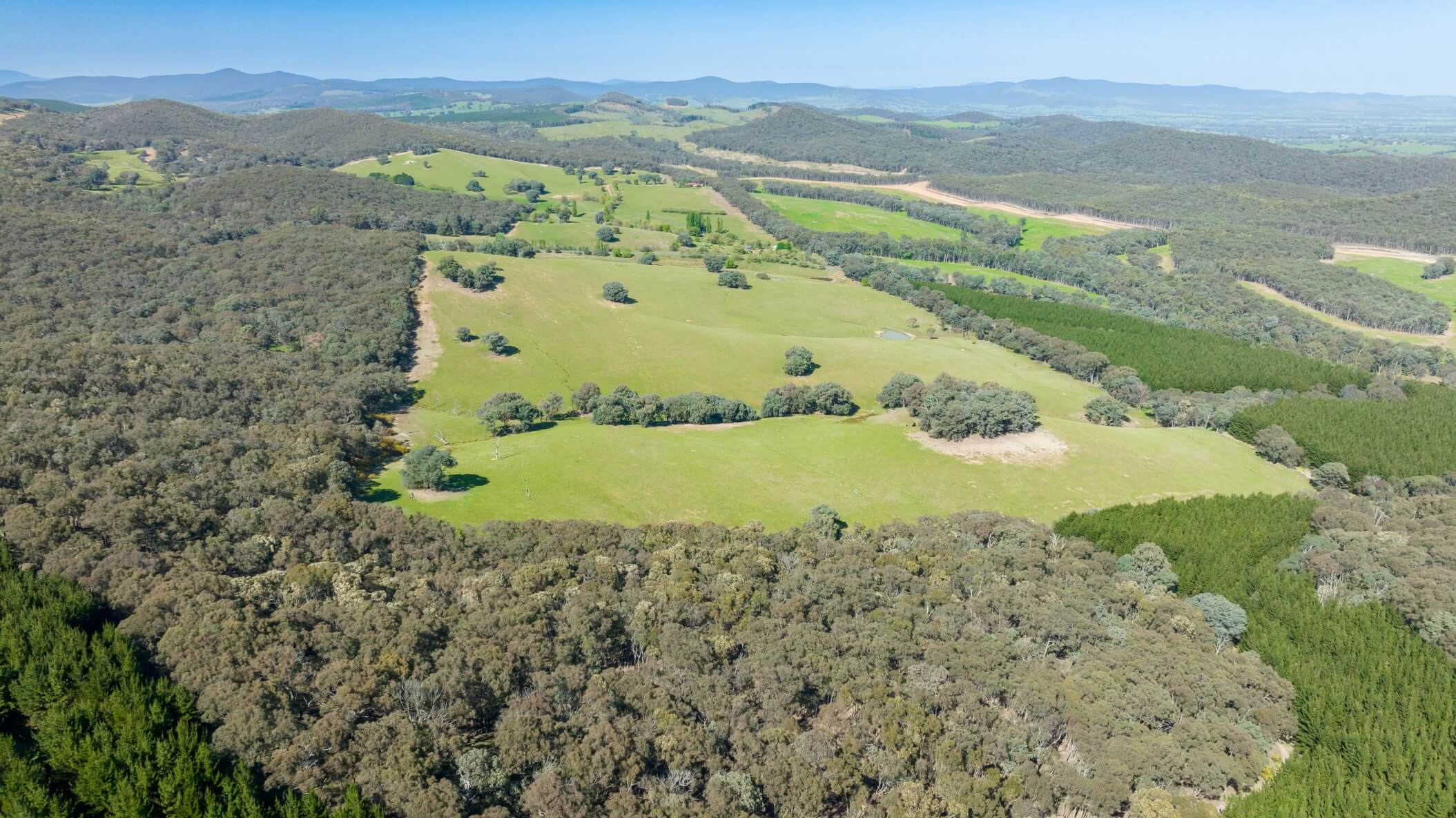 An aerial view of an open field and surrounding forests