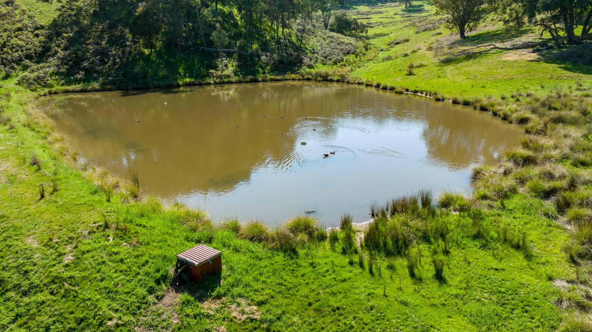 One of the property dams