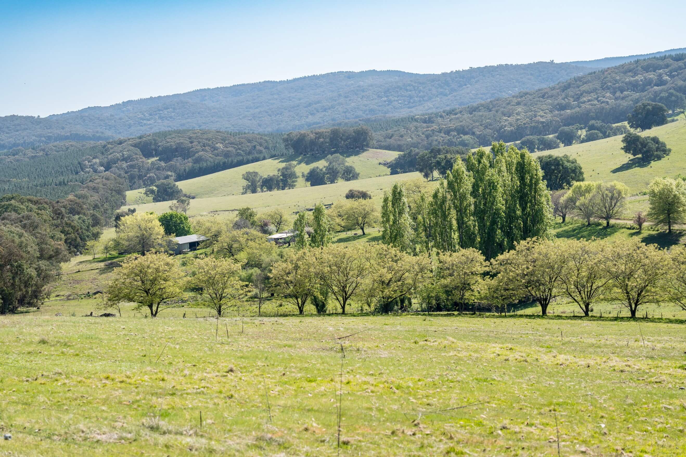 Open field with sheds and dirt road in the background