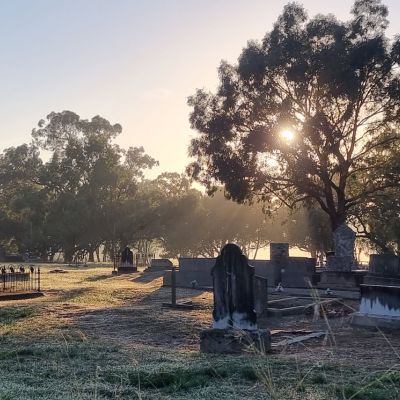 Wallenbeen cemetery with the sun shining through trees