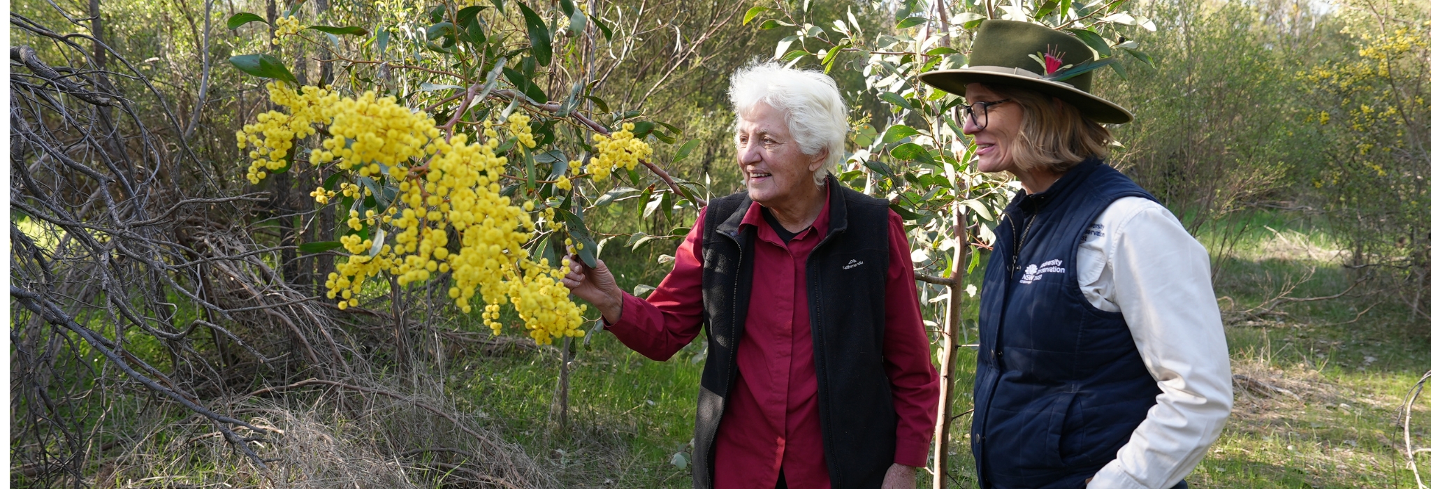 Two people outside examining a tree with flowers