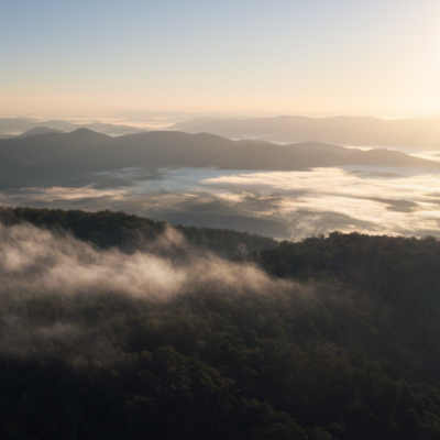 Gibraltar Range NP, Gibralter NSW