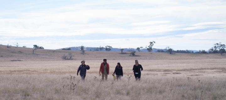 Four people walking through a long grass conservation area with small hills in the background