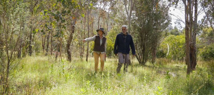 A man and woman walking through a forest during the day