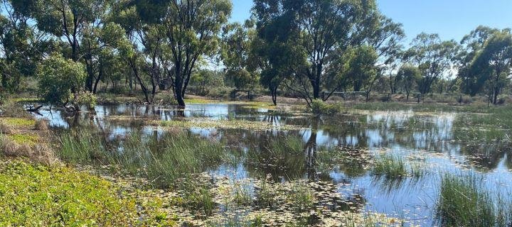 river flooded over landscape