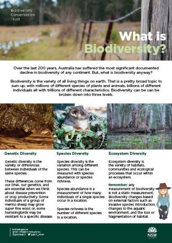 Biodiversity Conservation Education Program | BCT