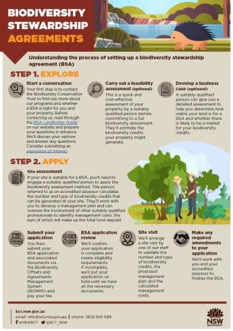 BSA infographic