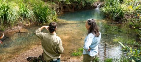 Man and woman stand on a creek bank look out over the water