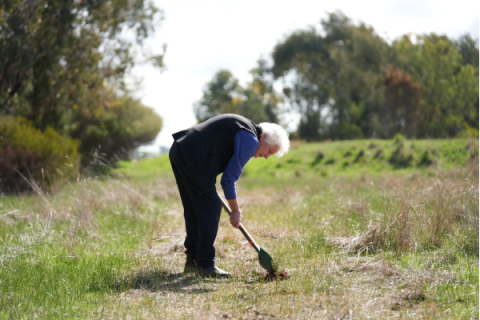 Judy Frankberg plants a seedling on her conservation property