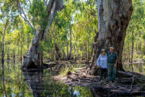 Landholders stand at the base of a tree in a flooded wetland