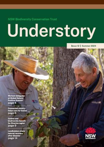 Understory magazine cover, summer 2024, issue 12