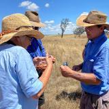 Landholders in the box woodland tender area