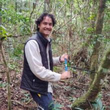 PhD students takes a sample from the trunk of a native tree